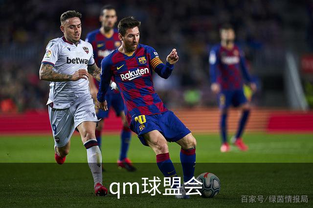 qm球盟会平台介绍图片